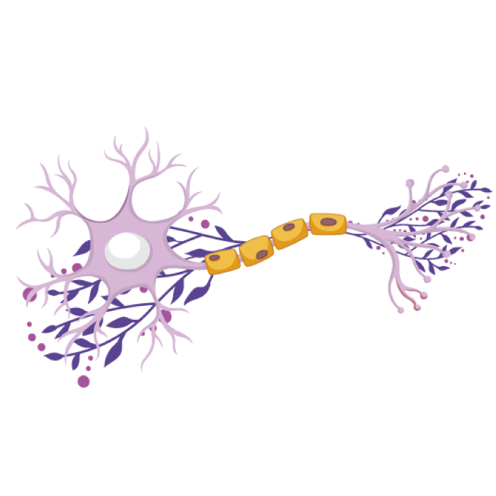 Neuro Degenerative Care